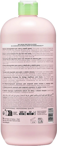 Шампунь для жирного волосся та шкіри голови Inebrya Ice Cream Balance Shampoo 1000 мл 1254319 фото