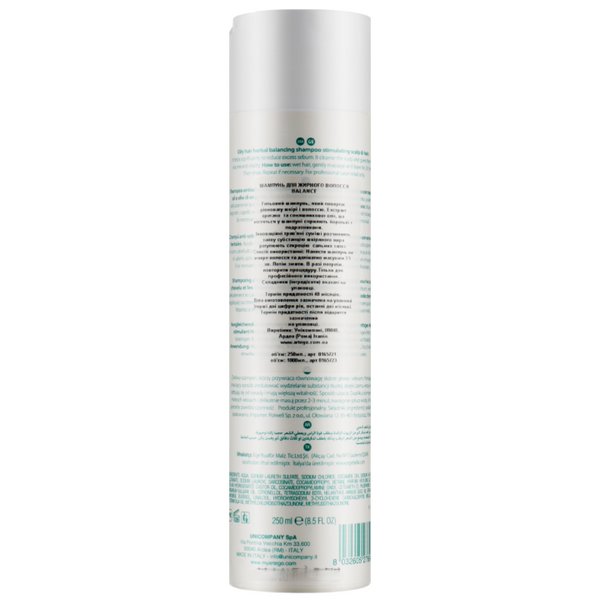 Шампунь Artego Easy Care T Balance Shampoo 250 мл для жирных волос и себорегуляции кожи головы 1249691 фото