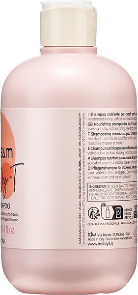 Шампунь для сухих, вьющихся и окрашенных волос Inebrya Ice Cream Dry-T Shampoo 300 мл 1254362 фото