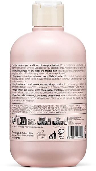 Шампунь для сухих, вьющихся и окрашенных волос Inebrya Ice Cream Dry-T Shampoo 300 мл 1254362 фото