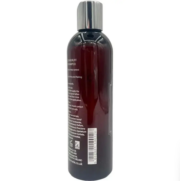 Шампунь проти лупи Morgan&rsquo;s Dandruff Control Shampoo 250 мл &mdash; чистота, комфорт і догляд за шкірою голови  5012521100126 фото